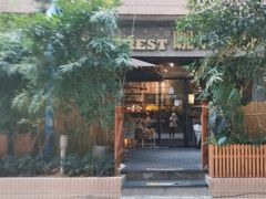 -咖法森林·咖啡  酒吧(天河店)
