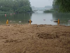 -大兴滨河森林公园