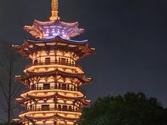 -洋湖国家湿地公园