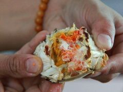 IMG_4285-丫丫蟹庄·苏式园林农家乐·阳澄湖大闸蟹(阳澄湖莲花岛店)