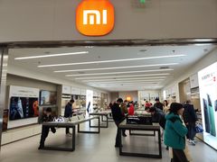 -小米之家汽车(永旺梦乐城店)