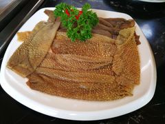 -二荆条·蜀鲜汇城市森林火锅