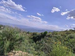 -黄金寨原生态旅游区