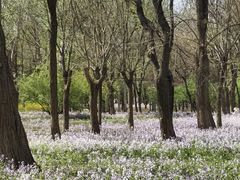 -太阳宫公园