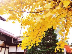 -医王山·飞騨国分寺