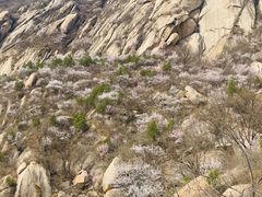 -北京凤凰岭
