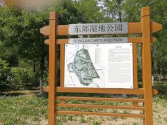 -东郊湿地公园