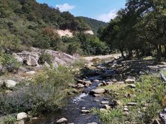 -武汉姚家山旅游景区