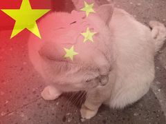 -丁香湖公园