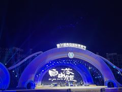 -第35届青岛国际啤酒节