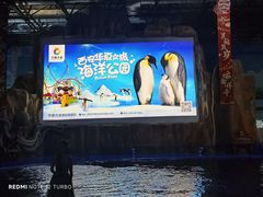 -华夏文旅海洋公园