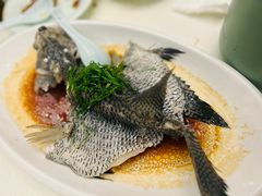 -五谷芳乳鸽王(海景店)