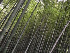 -宝岩生态观光园