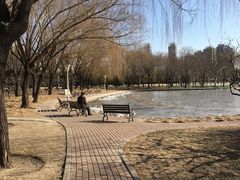 -泰丰公园