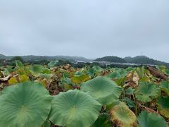 -古田会议纪念馆