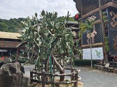 -海南槟榔谷黎苗文化旅游区