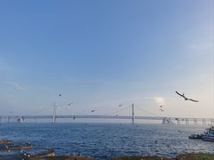 -星海广场