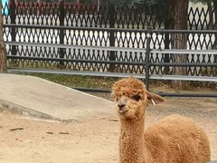 -秦皇岛野生动物园