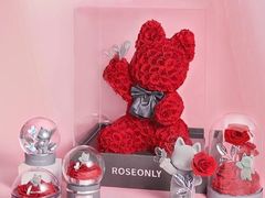 -ROSEONLY诺誓(广州K11店)