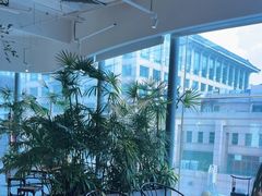 -大视光学•LINDBERG林德伯格•全球手工眼镜集合店(王府井店)