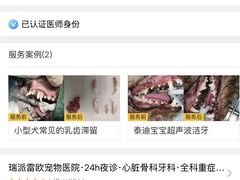 -瑞派雷欧宠物医院·24h夜诊·心脏骨科牙科·全科重症转诊中心(无影山店)