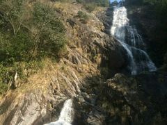 -东天目山风景区