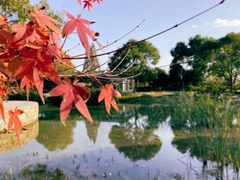 -歌斐颂巧克力小镇