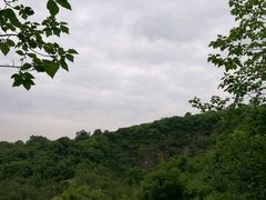 -羊山湖公园