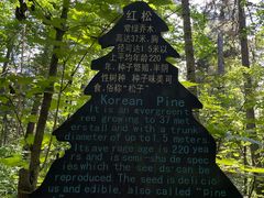 -五营国家森林公园