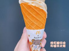 -麦当劳(欢乐谷店)