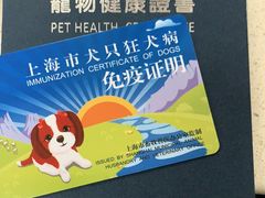 -申普宠物医院·心脏介入·心血管微创(总院)