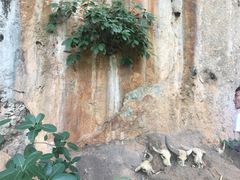 -沧源崖画