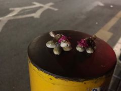 -西涌国际滨海旅游区