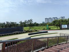 -澹台湖公园