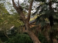 -法云安缦酒店