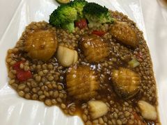 小麦煮鲍鱼-东江海鲜酒家(艺都分店)