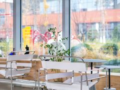 -Cetus coffee鲸鱼座咖啡·拼豆(二仙桥公园店)