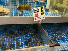 -蚝美人·生蚝海鲜烧烤(茶花园店)