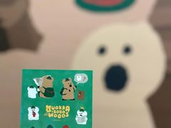 -line friends(明洞旗舰店)