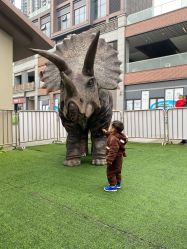 -恐龙探索乐园(磁器口店)