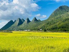 -万峰林风景区