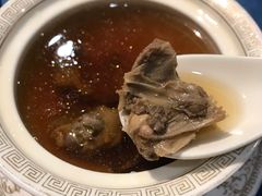 养生老鸽汤-麟1929(外滩店)