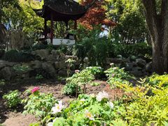 -上海醉白池公园