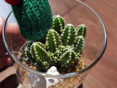 -Fridi Patisserie Cafe