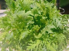 -烹然四季椰子鸡火锅(姚家园万象汇店)