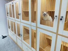 -爱洗澡的猫(天河路店)