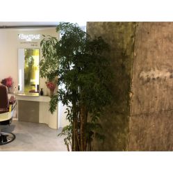 -AYO SALON