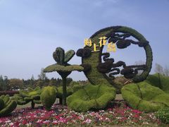 -东平国家森林公园