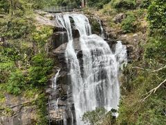 -海南热带雨林国家公园吊罗山景区