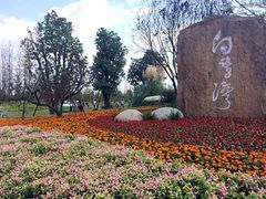 -白鹭湾湿地公园